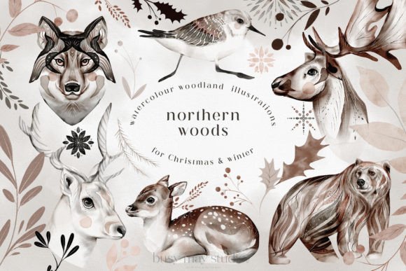 Winter Christmas Animals Birds Leaves: Illustrations Review